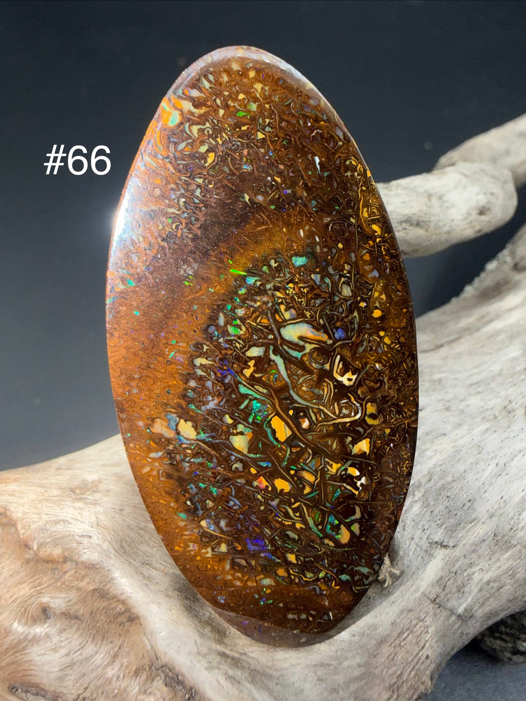 66